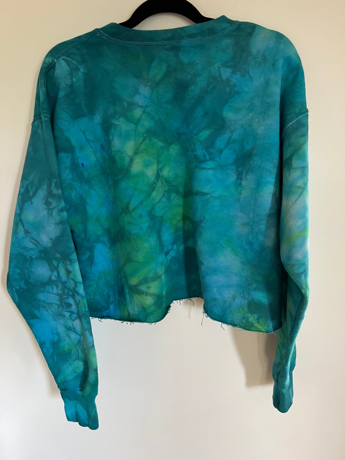 cropped crewneck sweatshirt (M)